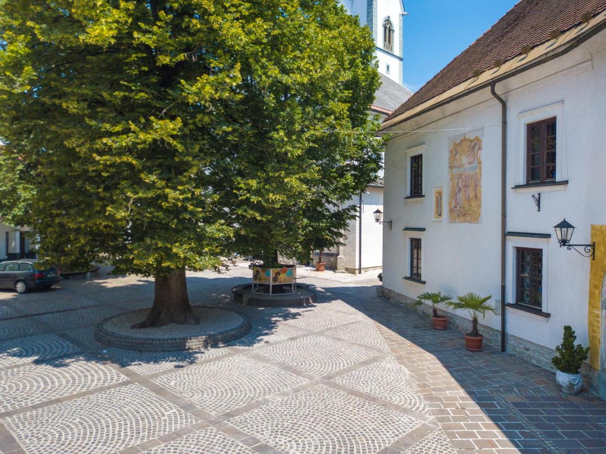 Vila Radolca Apartments & Rooms Радовлица Екстериор снимка