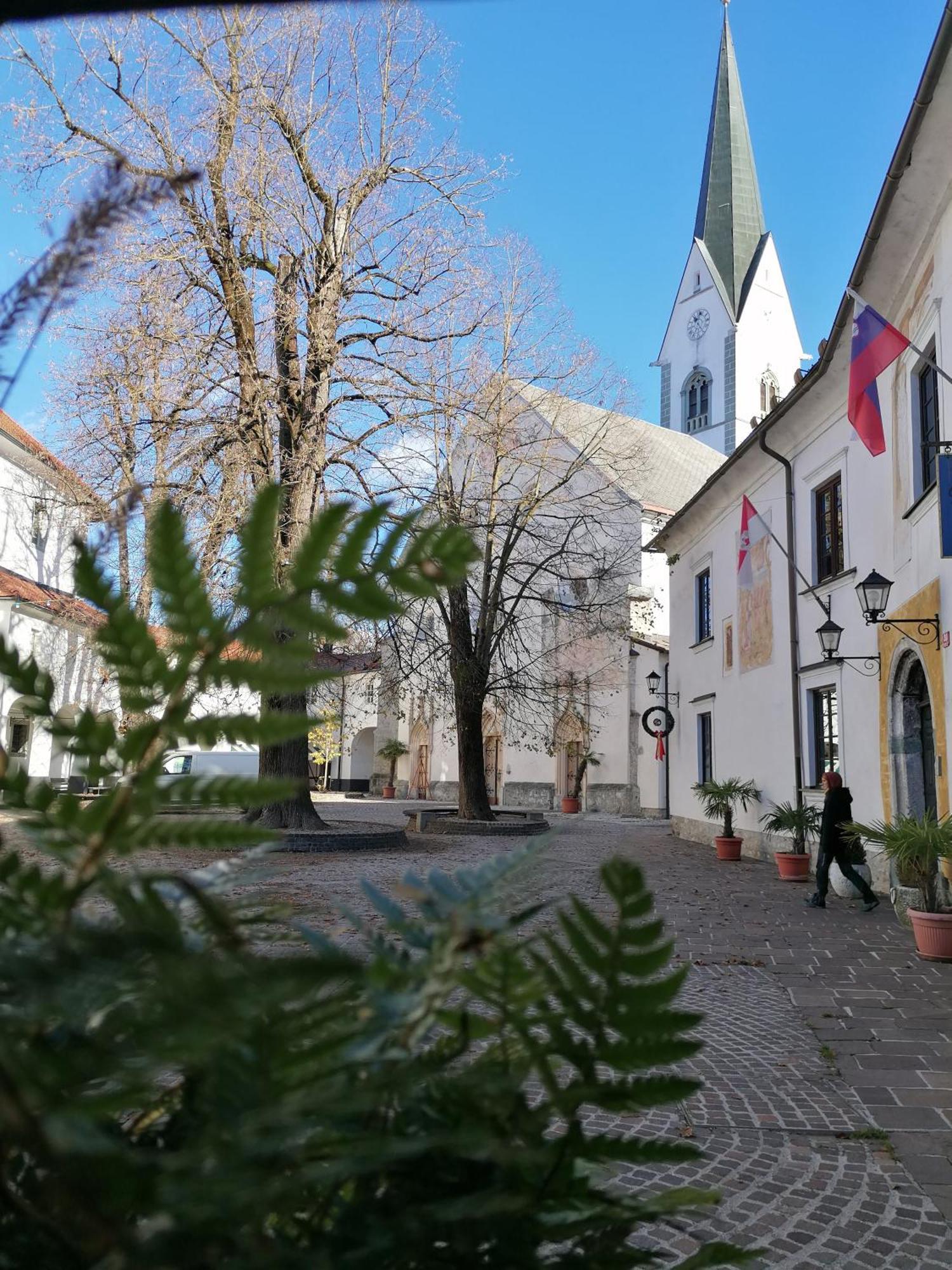 Vila Radolca Apartments & Rooms Радовлица Екстериор снимка